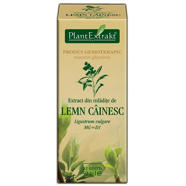 PlantExtract Extract din mladite de lemn cainesc 50 ml