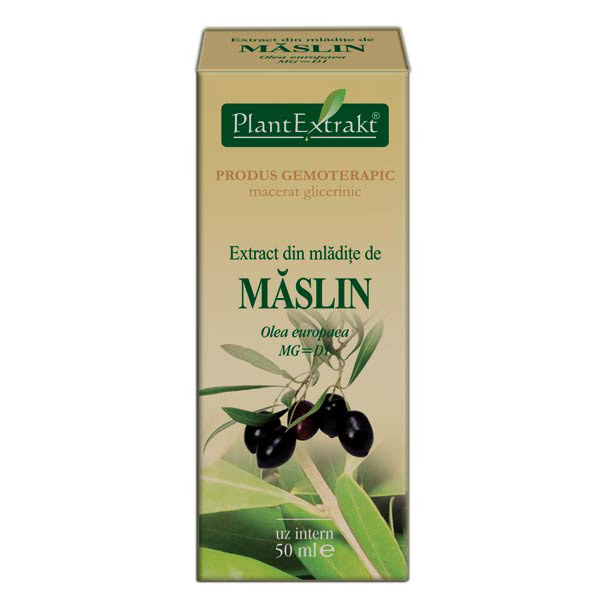 PlantExtract Extract din mladite de maslin 50ml