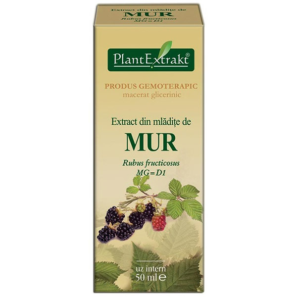 PlantExtract Extract din mladite de mur 50 ml