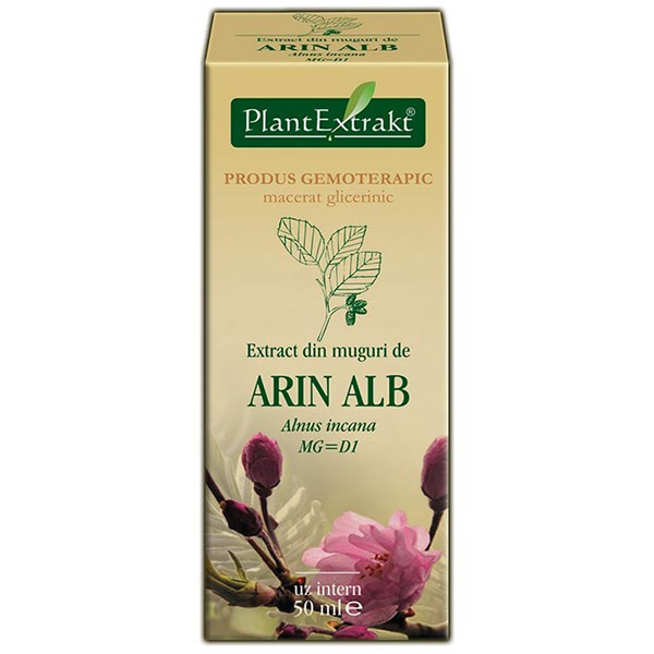 PlantExtract Extract din muguri de arin alb 50 ml