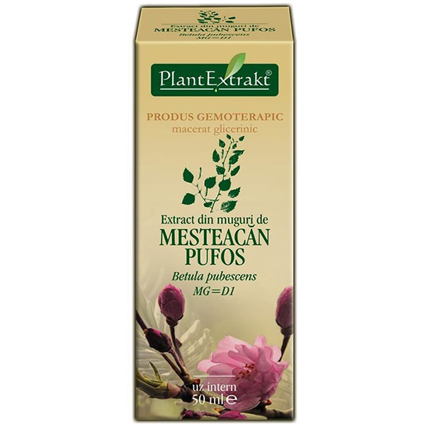 PlantExtract Extract din muguri de mesteacan pufos 50 ml