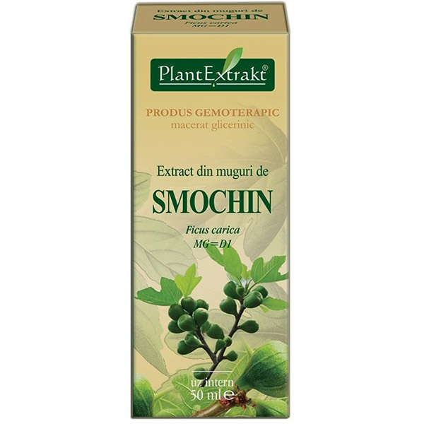 PlantExtract Extract din muguri de smochin 50 ml