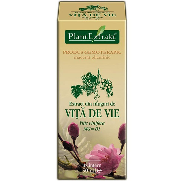 PlantExtract Extract din muguri de vita de vie 50 ml