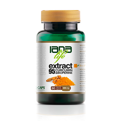 Curcumin95 & BioPerine 60 capsule