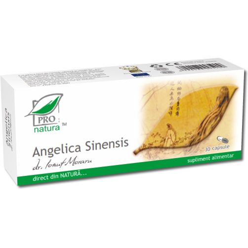 Angelica Sinensis - Pro Natura