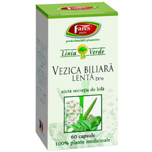 Vezica Biliara Lenta D70